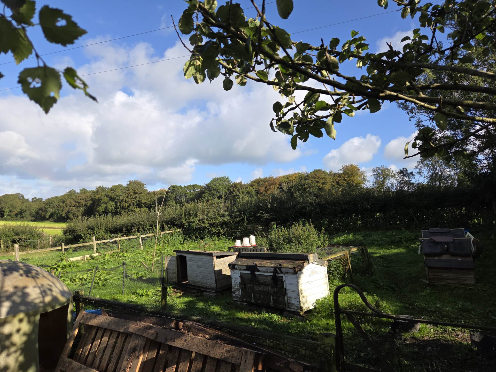 147 Ballinlea Road, Stranocum, Ballymoney, BT53 8PX, Image 37