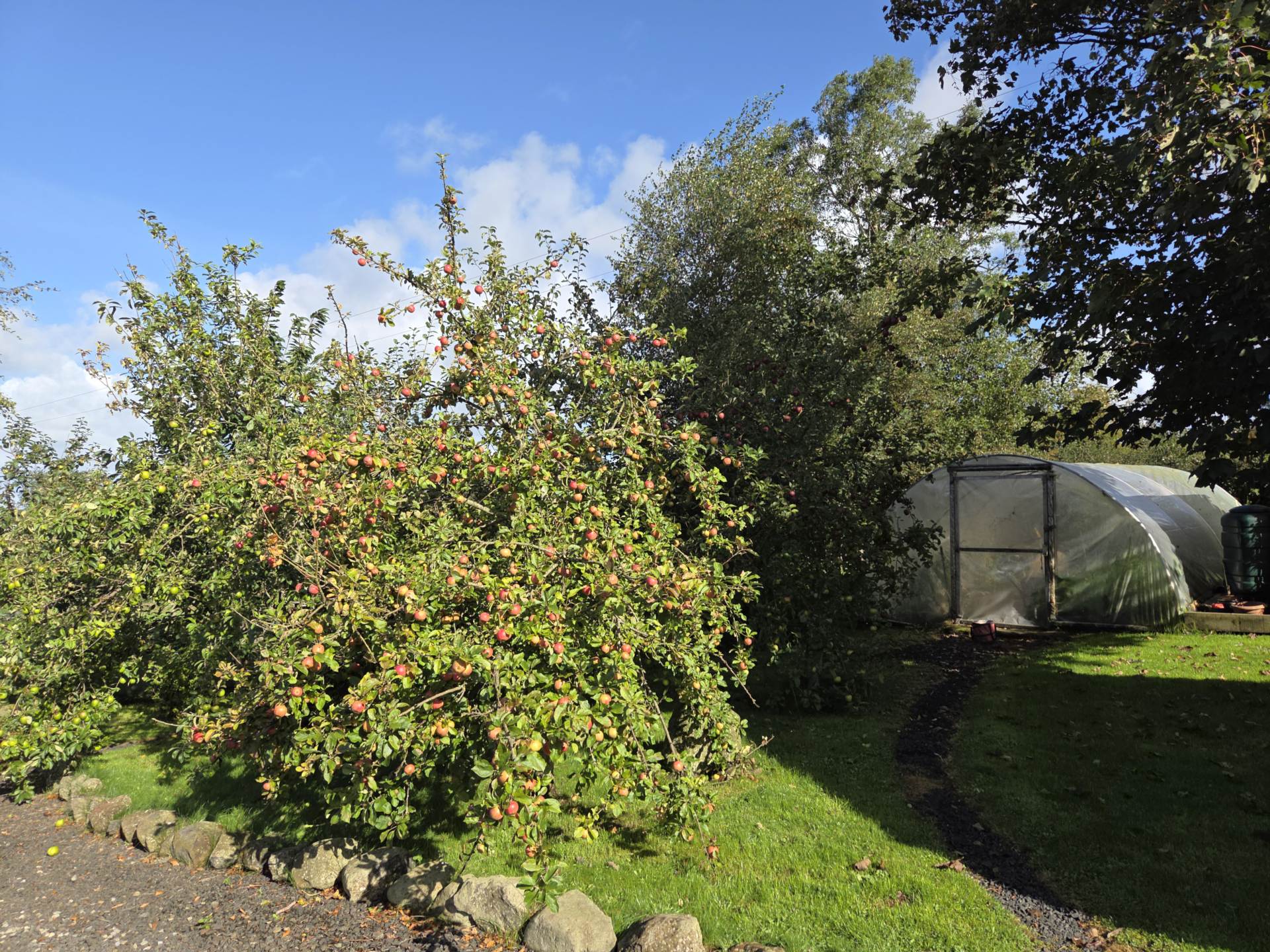 147 Ballinlea Road, Stranocum, Ballymoney, BT53 8PX, Image 40