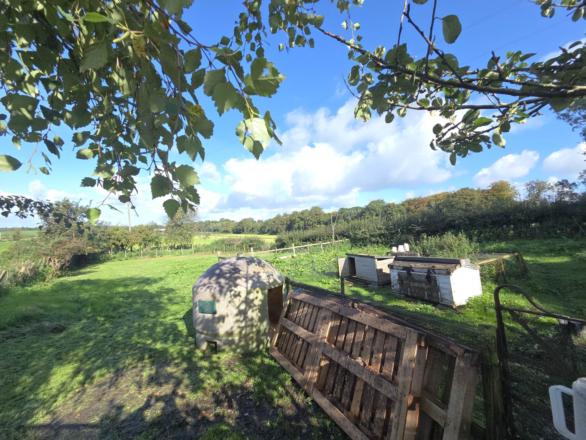 147 Ballinlea Road, Stranocum, Ballymoney, BT53 8PX, Image 43