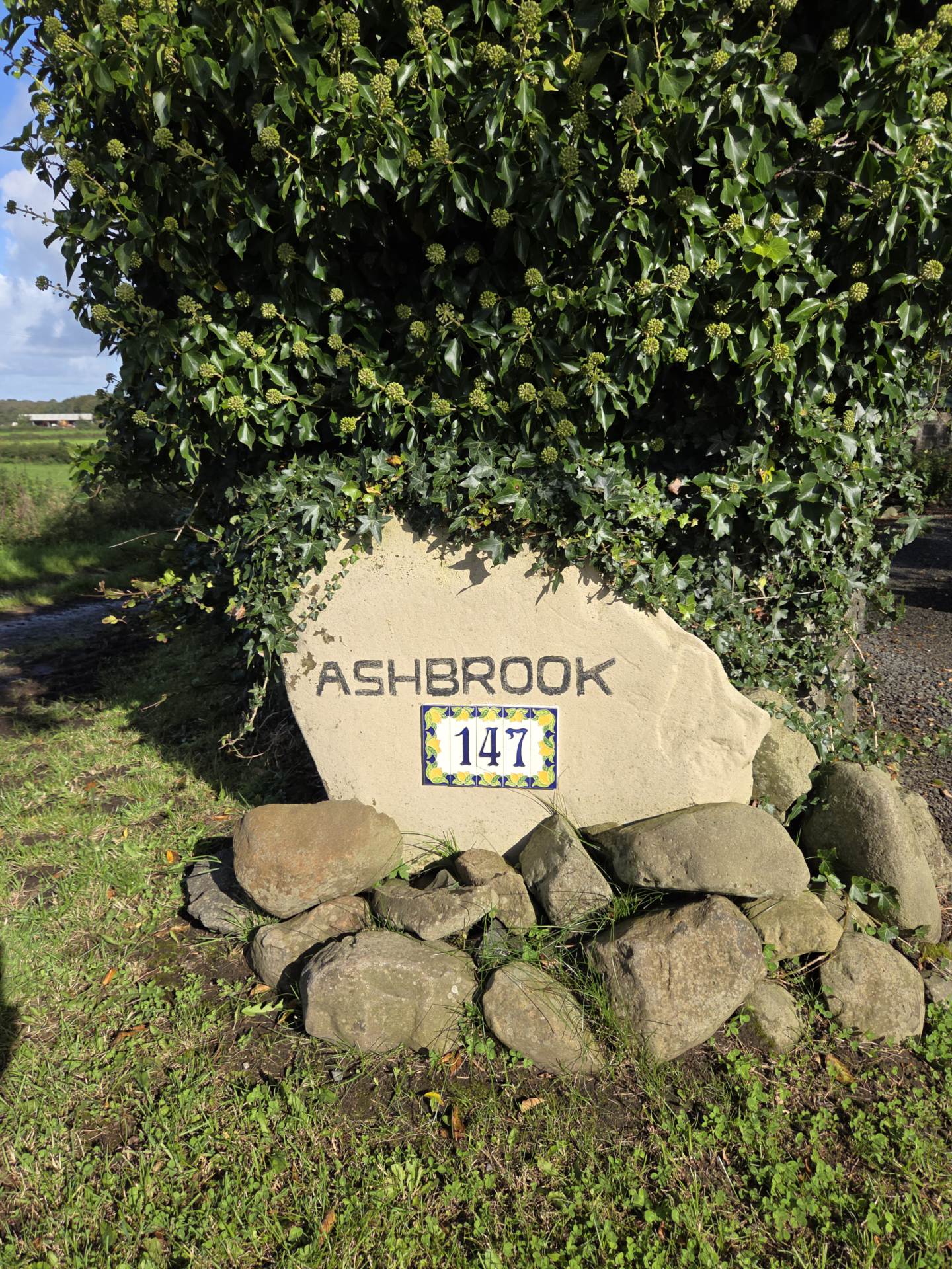 147 Ballinlea Road, Stranocum, Ballymoney, BT53 8PX, Image 6