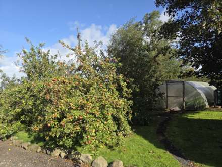 147 Ballinlea Road, Stranocum, Ballymoney, BT53 8PX, Image 40