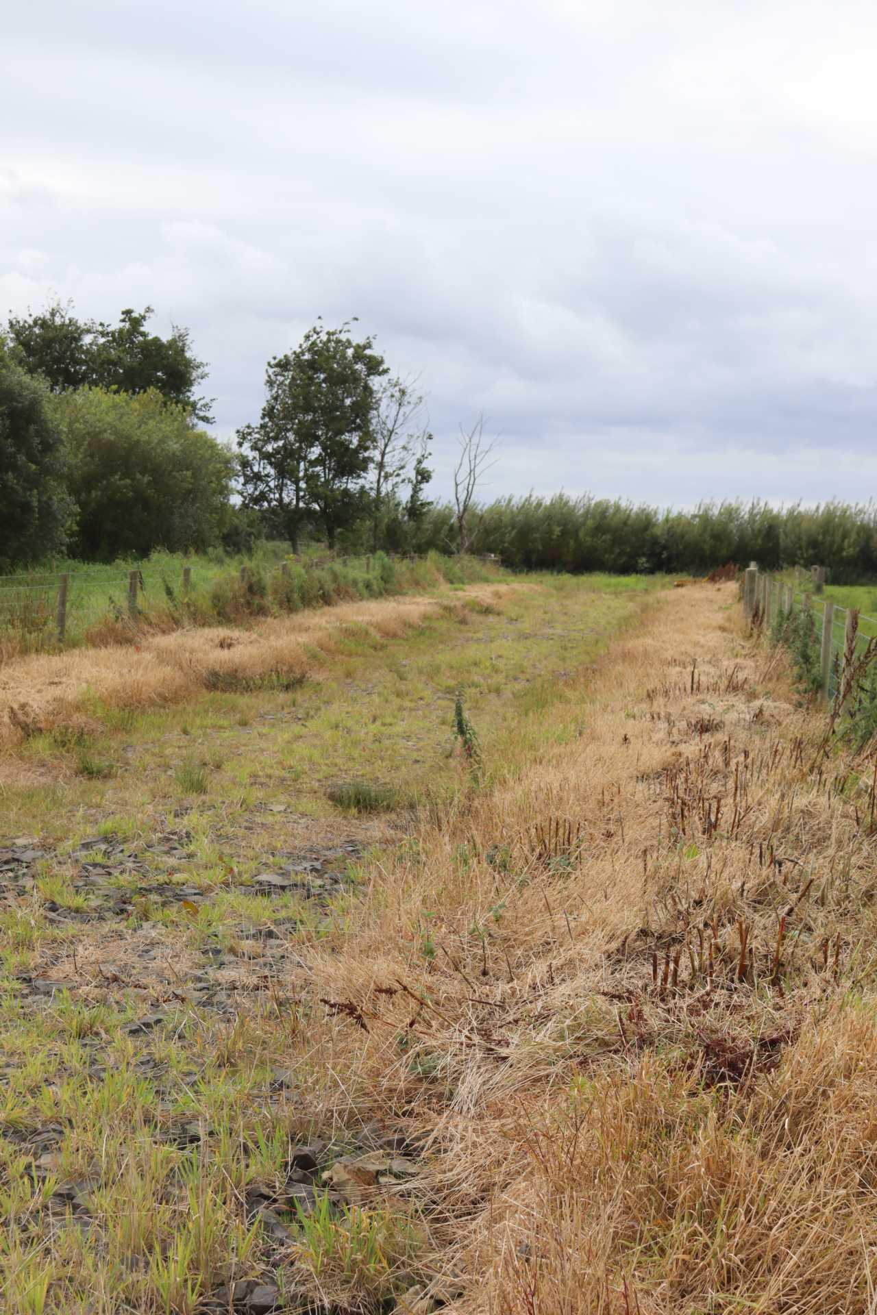 Land Adjacent to 58 Straid Road, Ballycastle, BT54 6NP, Image 3