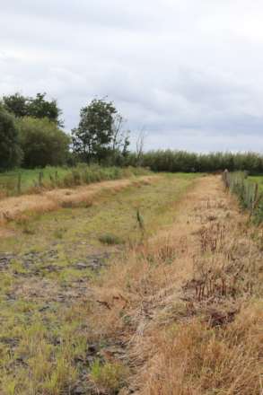 Land Adjacent to 58 Straid Road, Ballycastle, BT54 6NP, Image 3