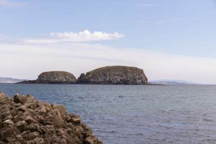 35 Harbour Road, Ballintoy, Image 20