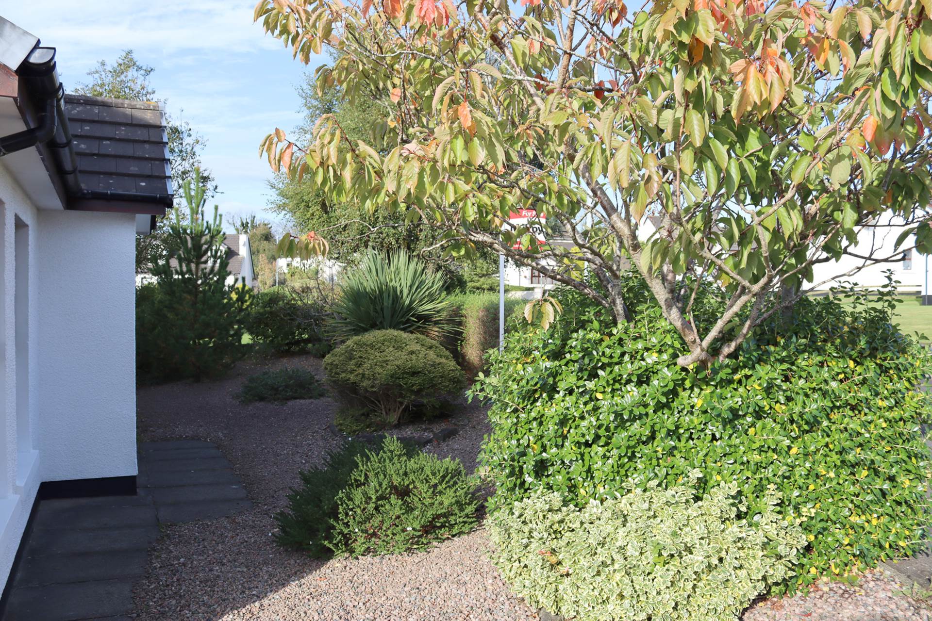 27 The Everglades, Ballycastle, Image 20