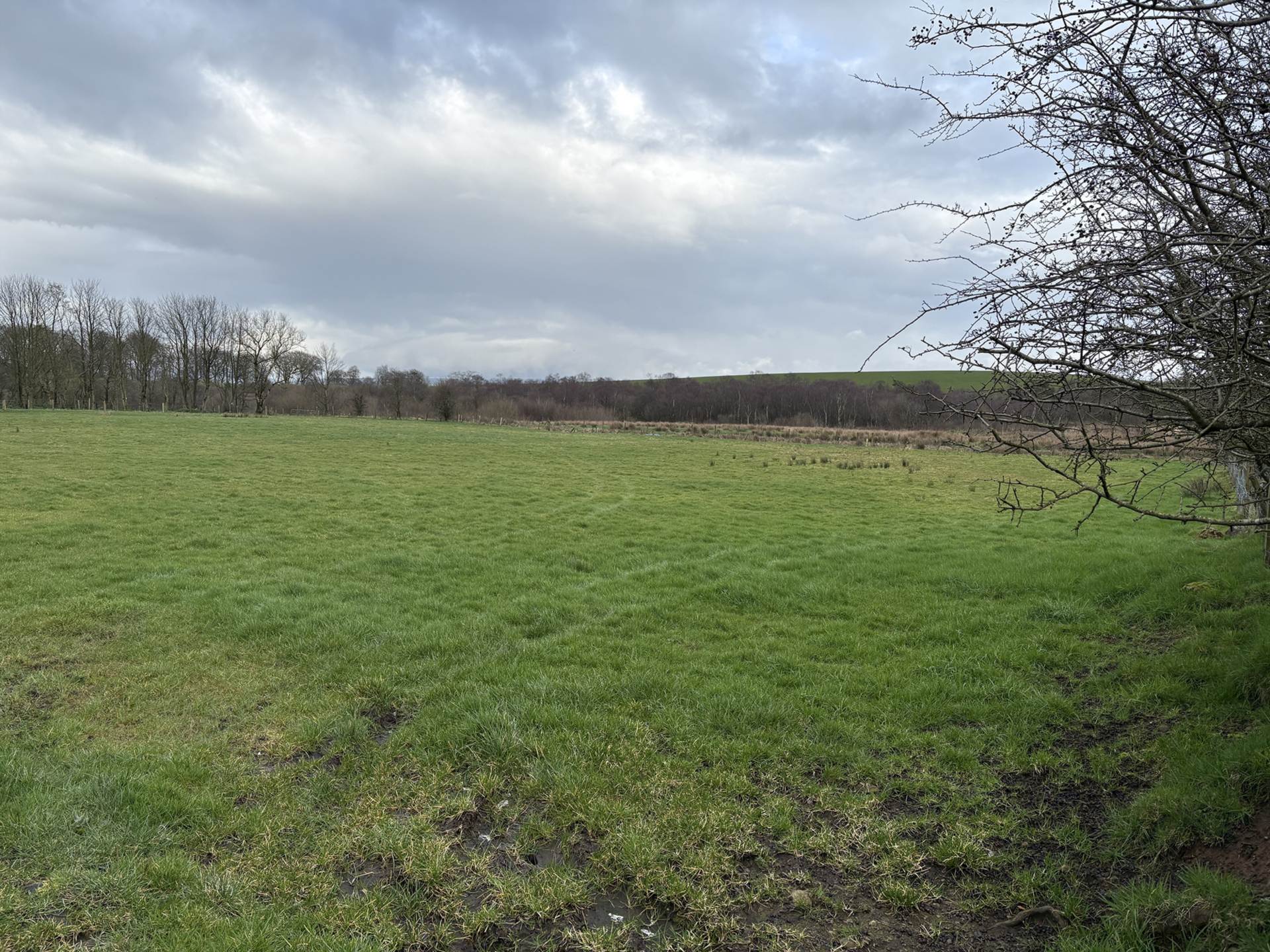 Approx.7 Acres Land Drones Road, Armoy, Image 1