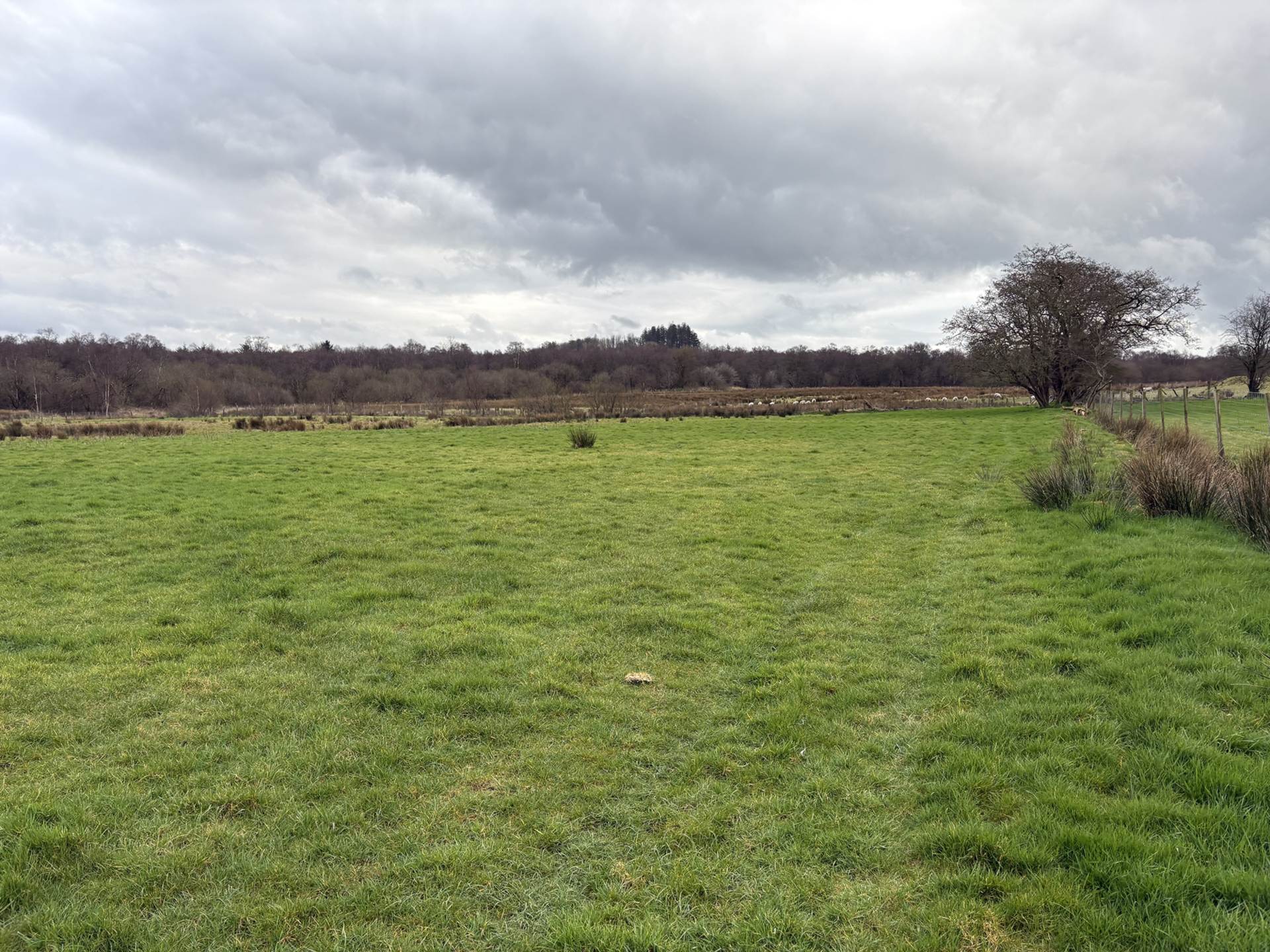 Approx.7 Acres Land Drones Road, Armoy, Image 10