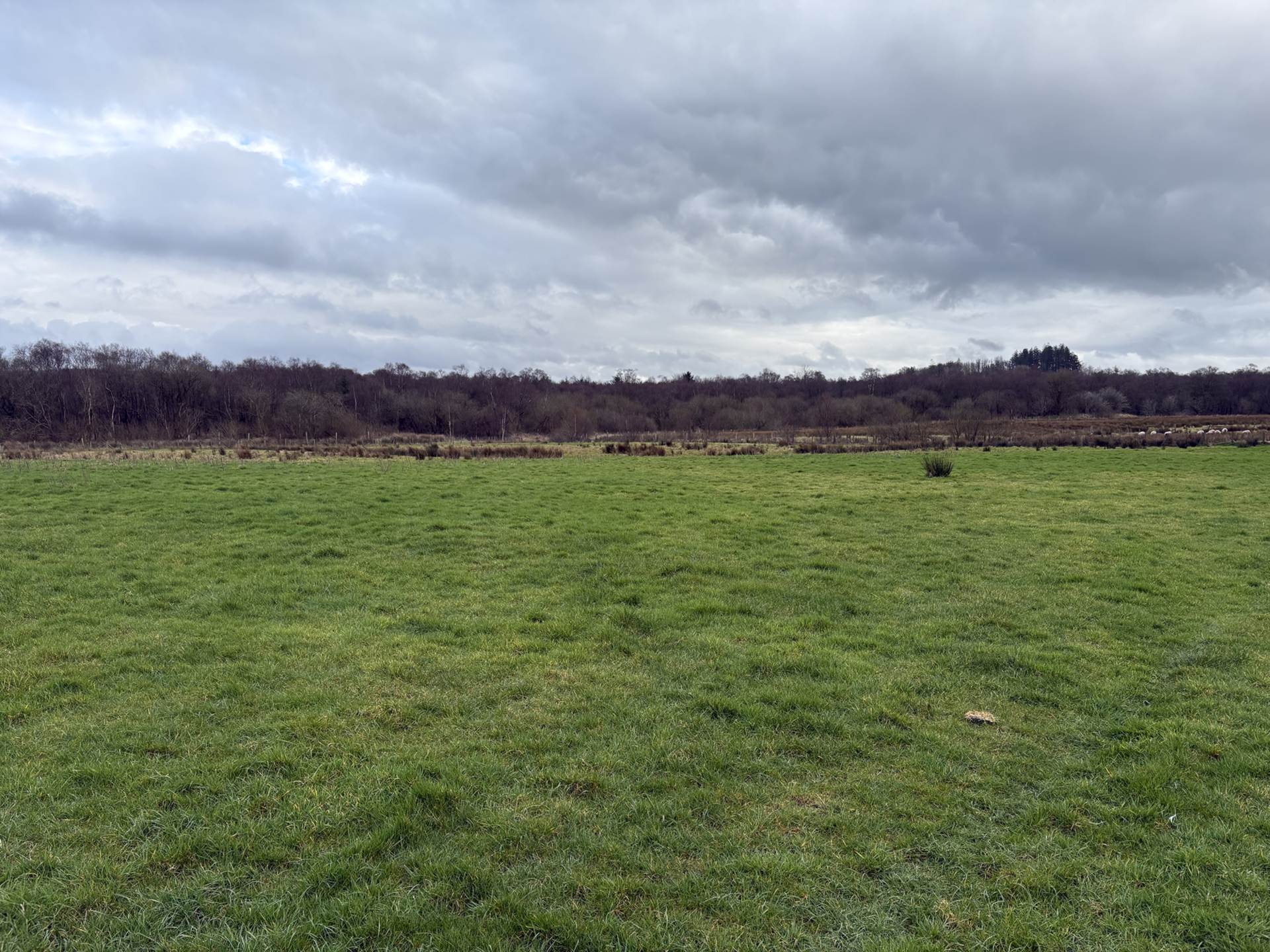 Approx.7 Acres Land Drones Road, Armoy, Image 12