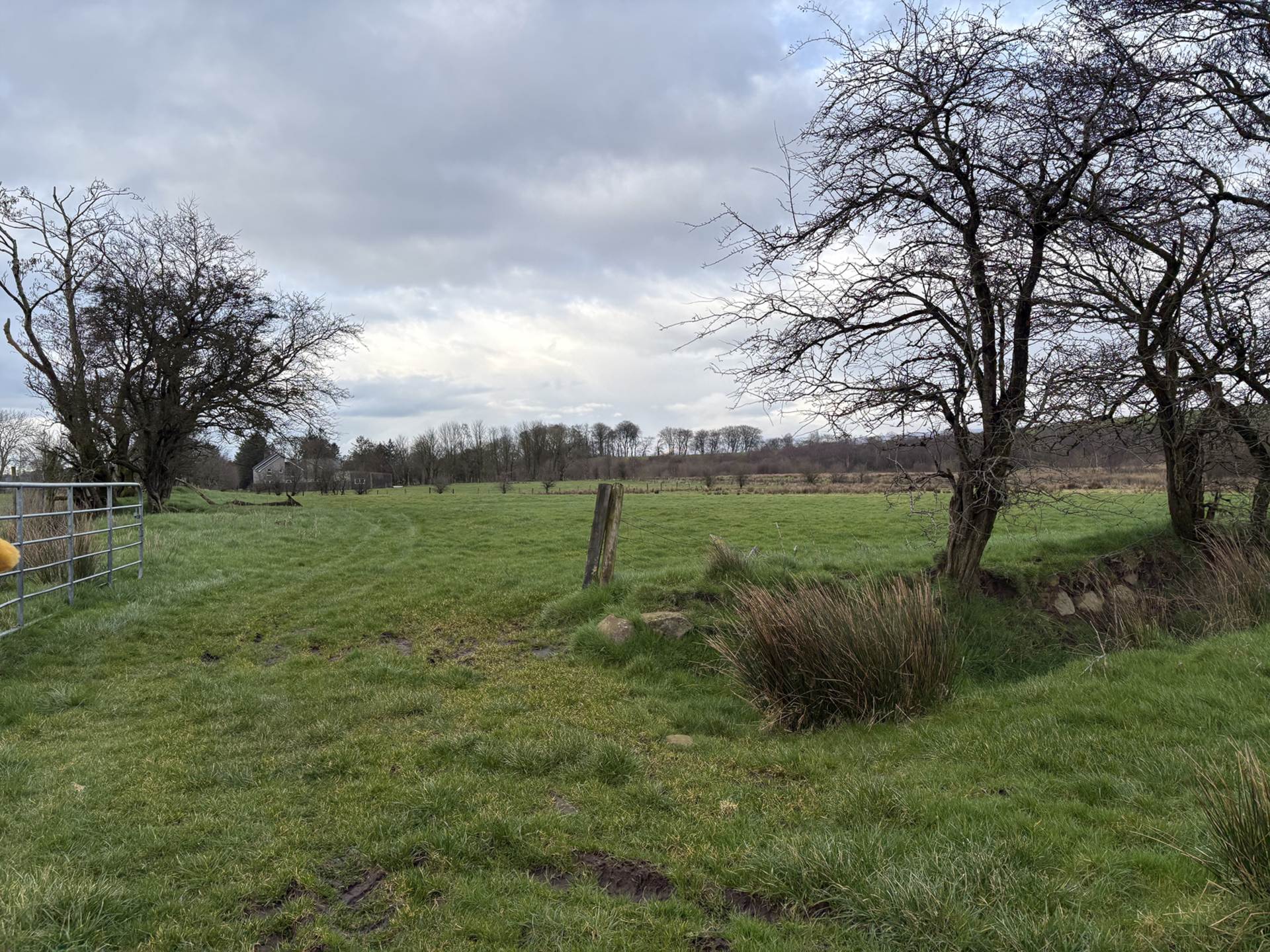 Approx.7 Acres Land Drones Road, Armoy, Image 13