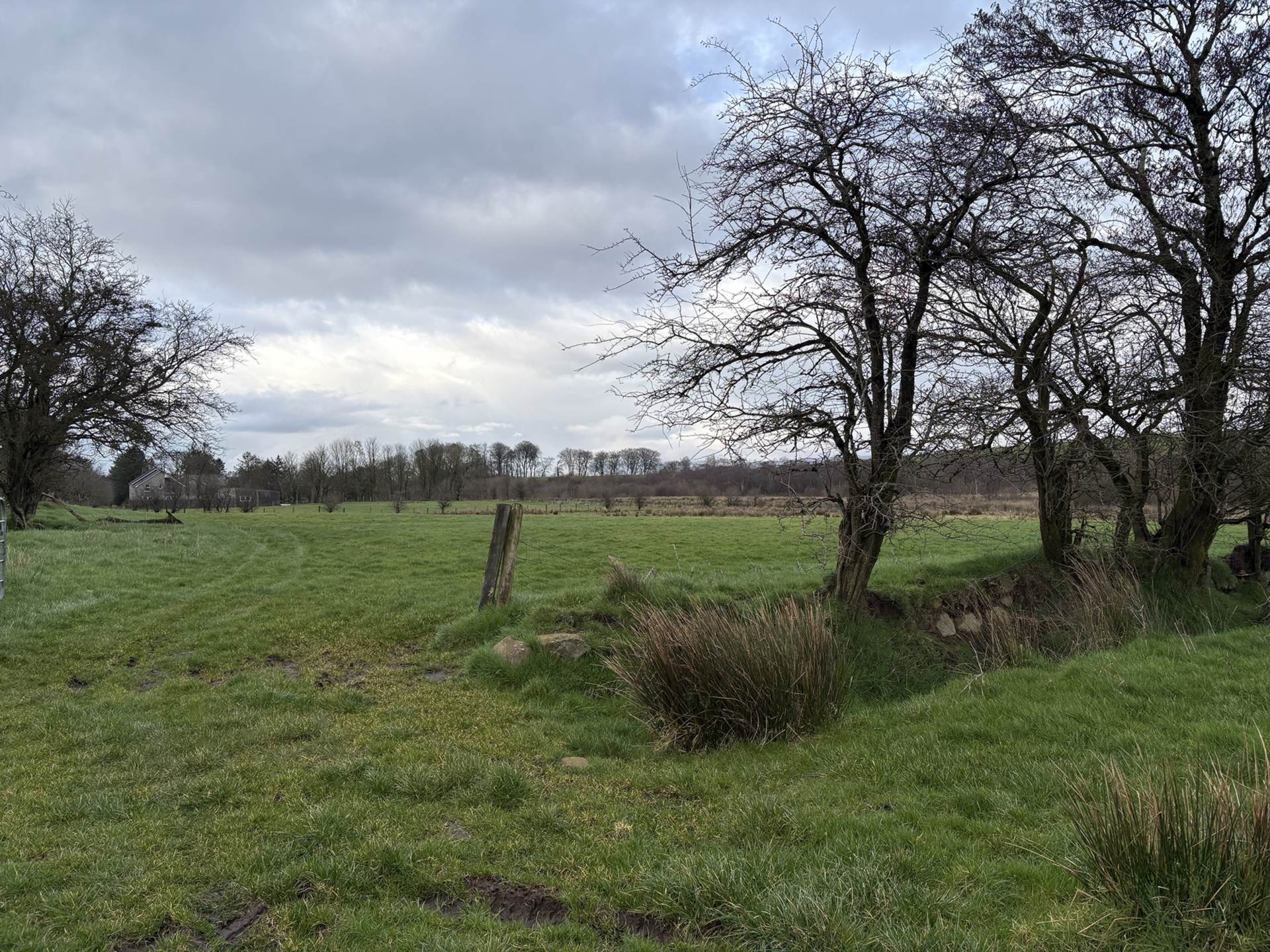 Approx.7 Acres Land Drones Road, Armoy, Image 14