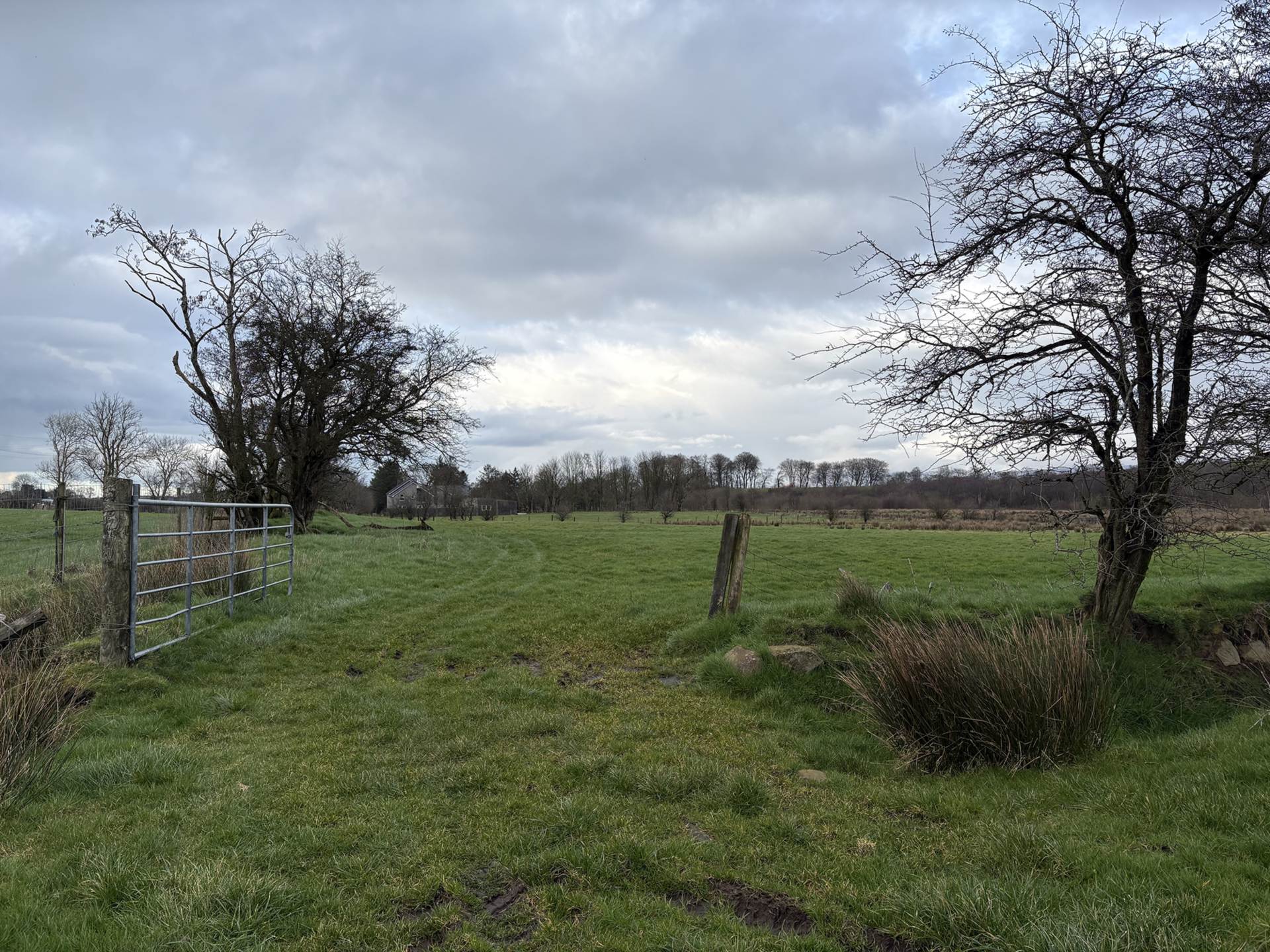 Approx.7 Acres Land Drones Road, Armoy, Image 15