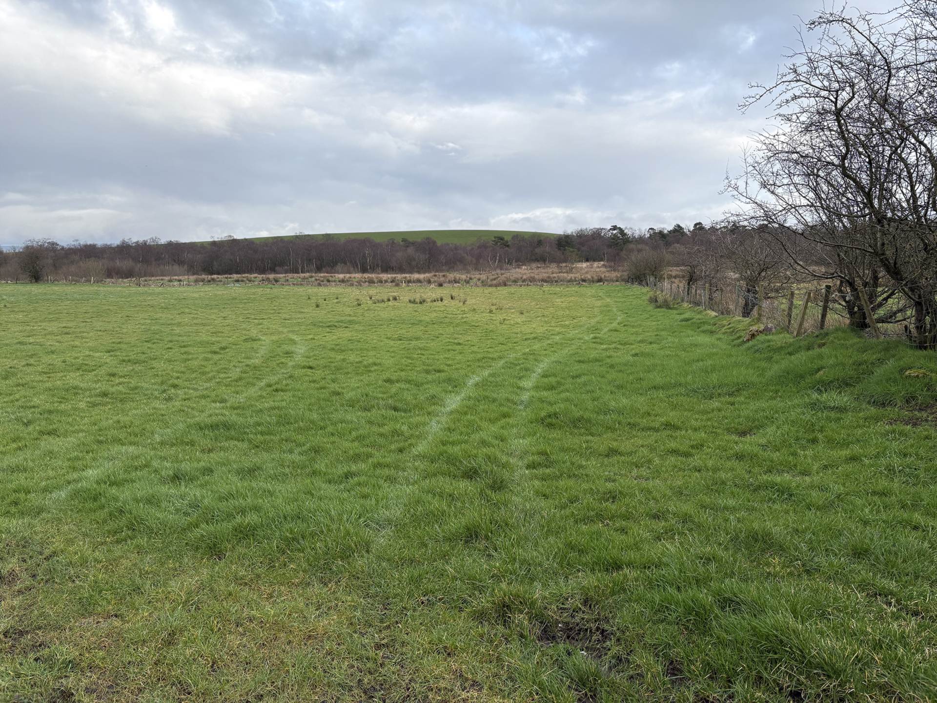 Approx.7 Acres Land Drones Road, Armoy, Image 3