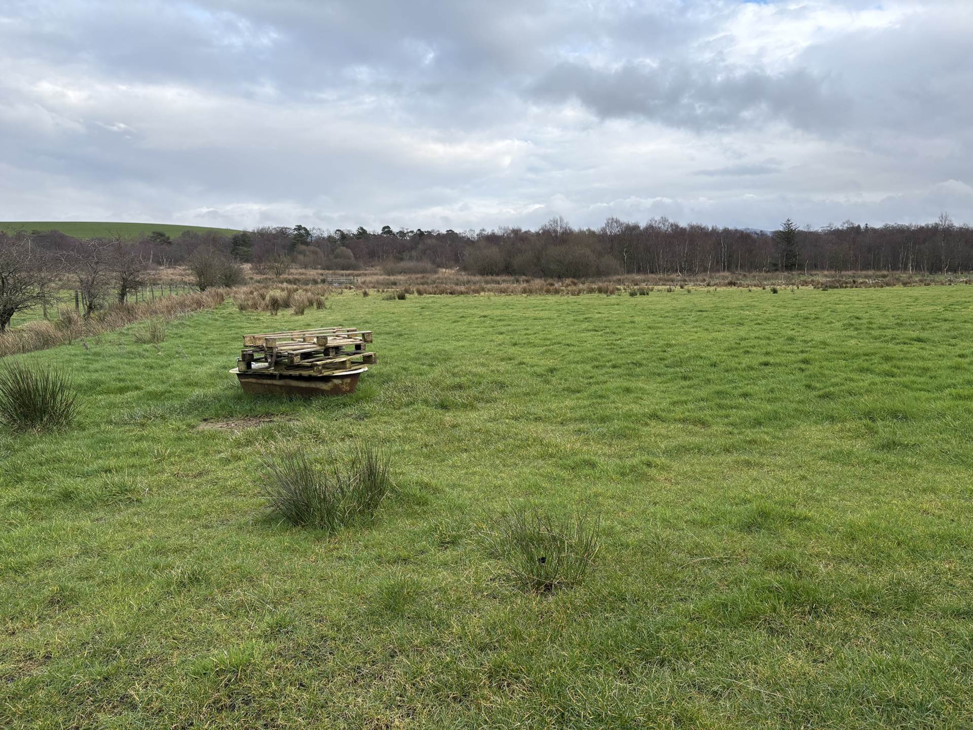 Approx.7 Acres Land Drones Road, Armoy, Image 4