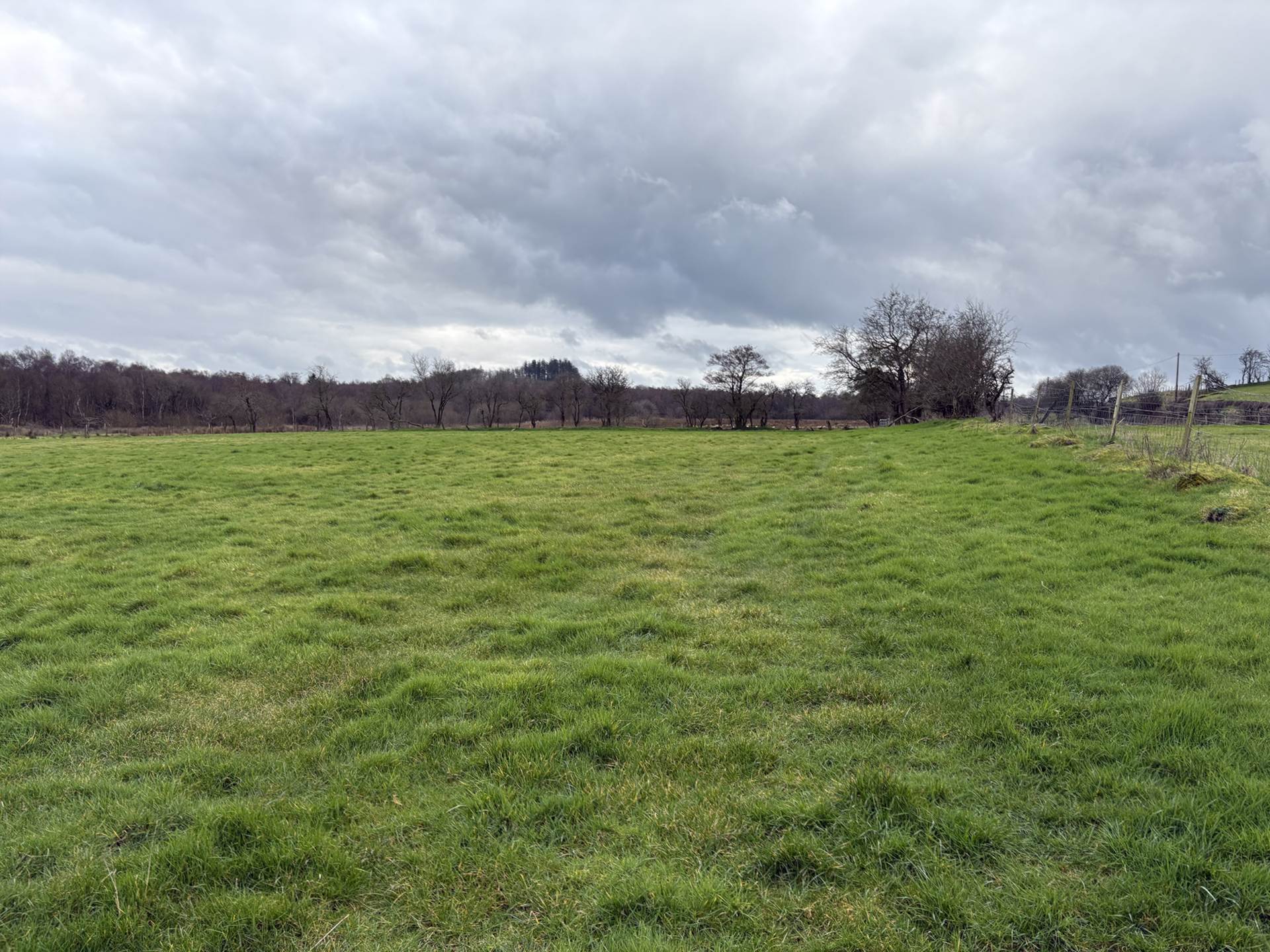 Approx.7 Acres Land Drones Road, Armoy, Image 6