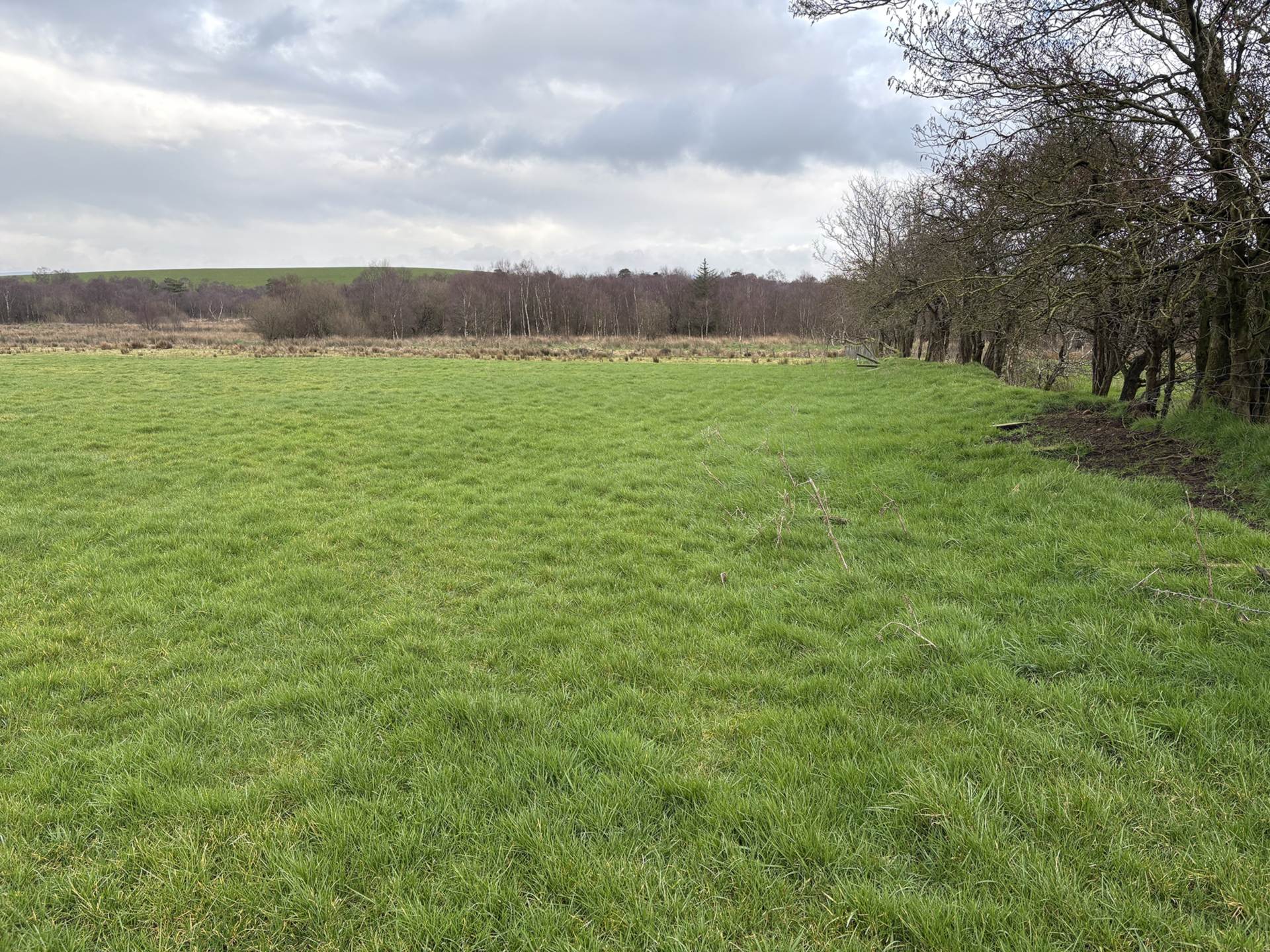 Approx.7 Acres Land Drones Road, Armoy, Image 8