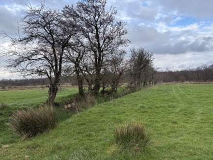 Approx.7 Acres Land Drones Road, Armoy, Image 11