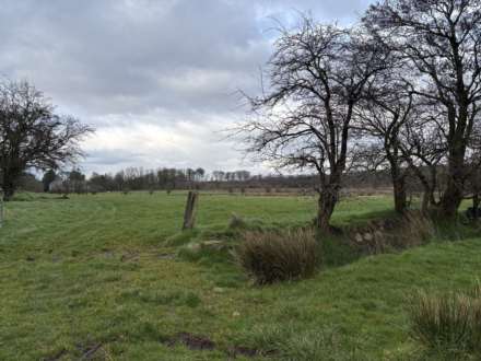 Approx.7 Acres Land Drones Road, Armoy, Image 14