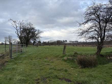 Approx.7 Acres Land Drones Road, Armoy, Image 15