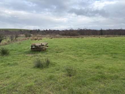 Approx.7 Acres Land Drones Road, Armoy, Image 4