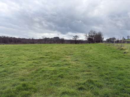 Approx.7 Acres Land Drones Road, Armoy, Image 6