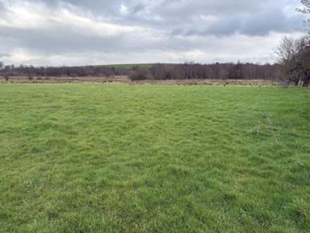 Approx.7 Acres Land Drones Road, Armoy, Image 7