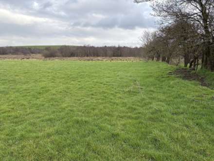 Approx.7 Acres Land Drones Road, Armoy, Image 8