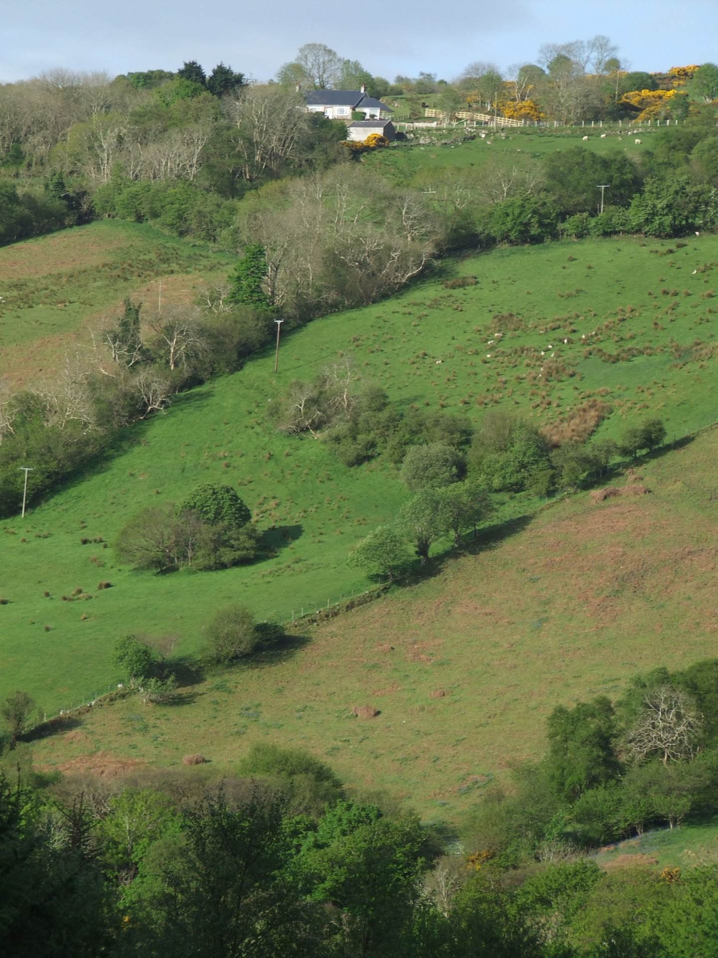 Drumavoley Road, Ballycastle, Image 5