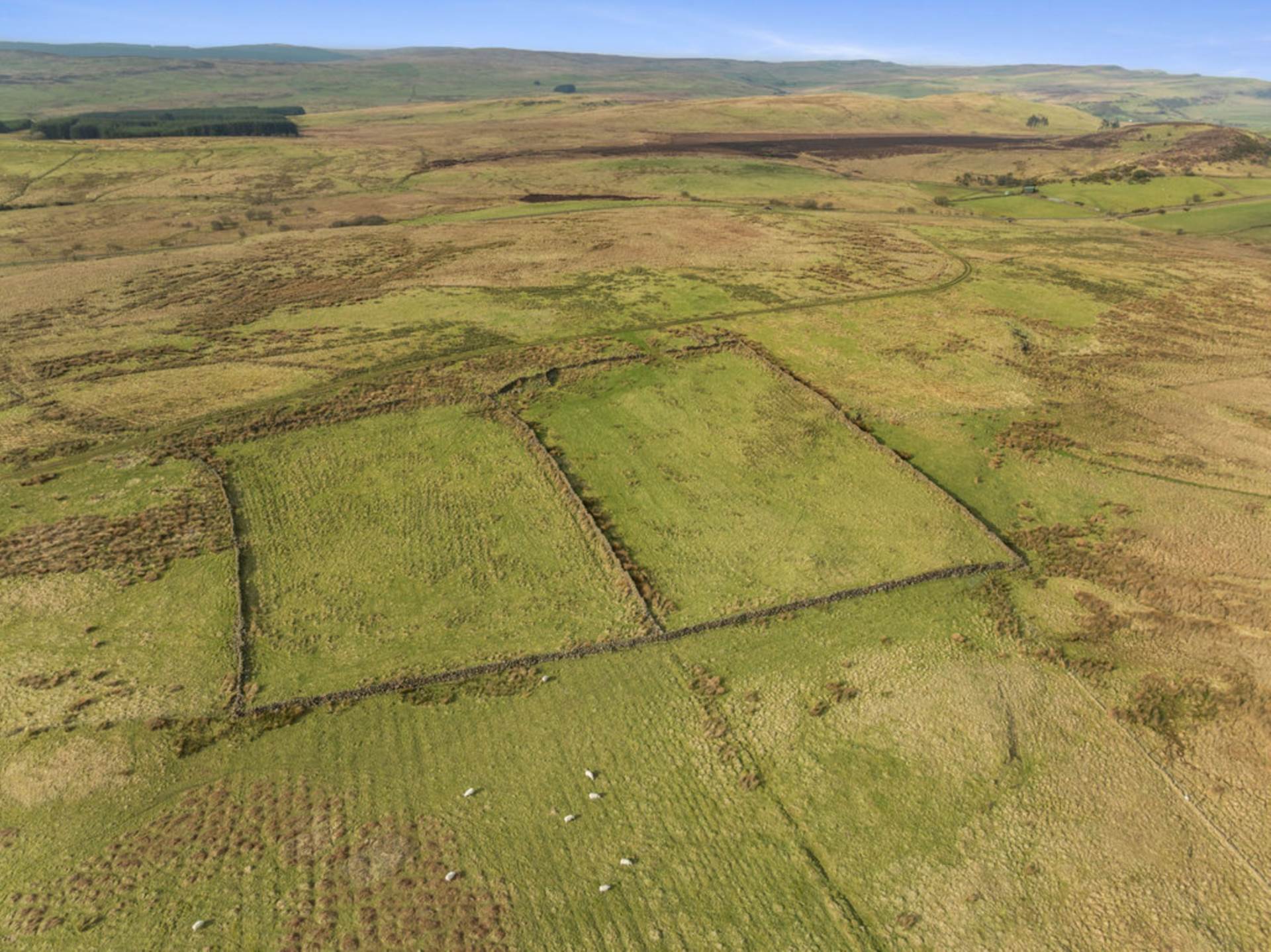 Approx. 64.64 acres of land at Slane Road, Aughafatten, Ballymena, Image 11