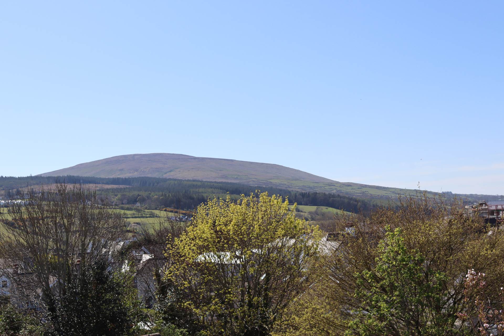 7 Cedar Avenue, Ballycastle, Image 18