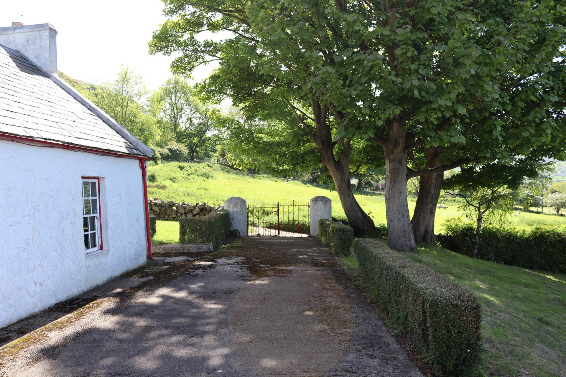 176c Garron Road, Glenariffe, Image 23