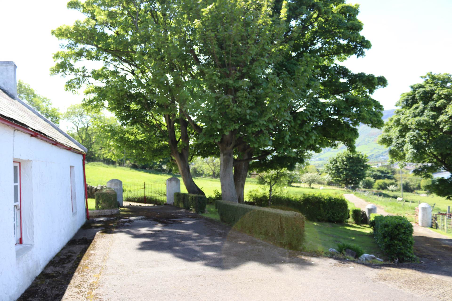 176c Garron Road, Glenariffe, Image 31