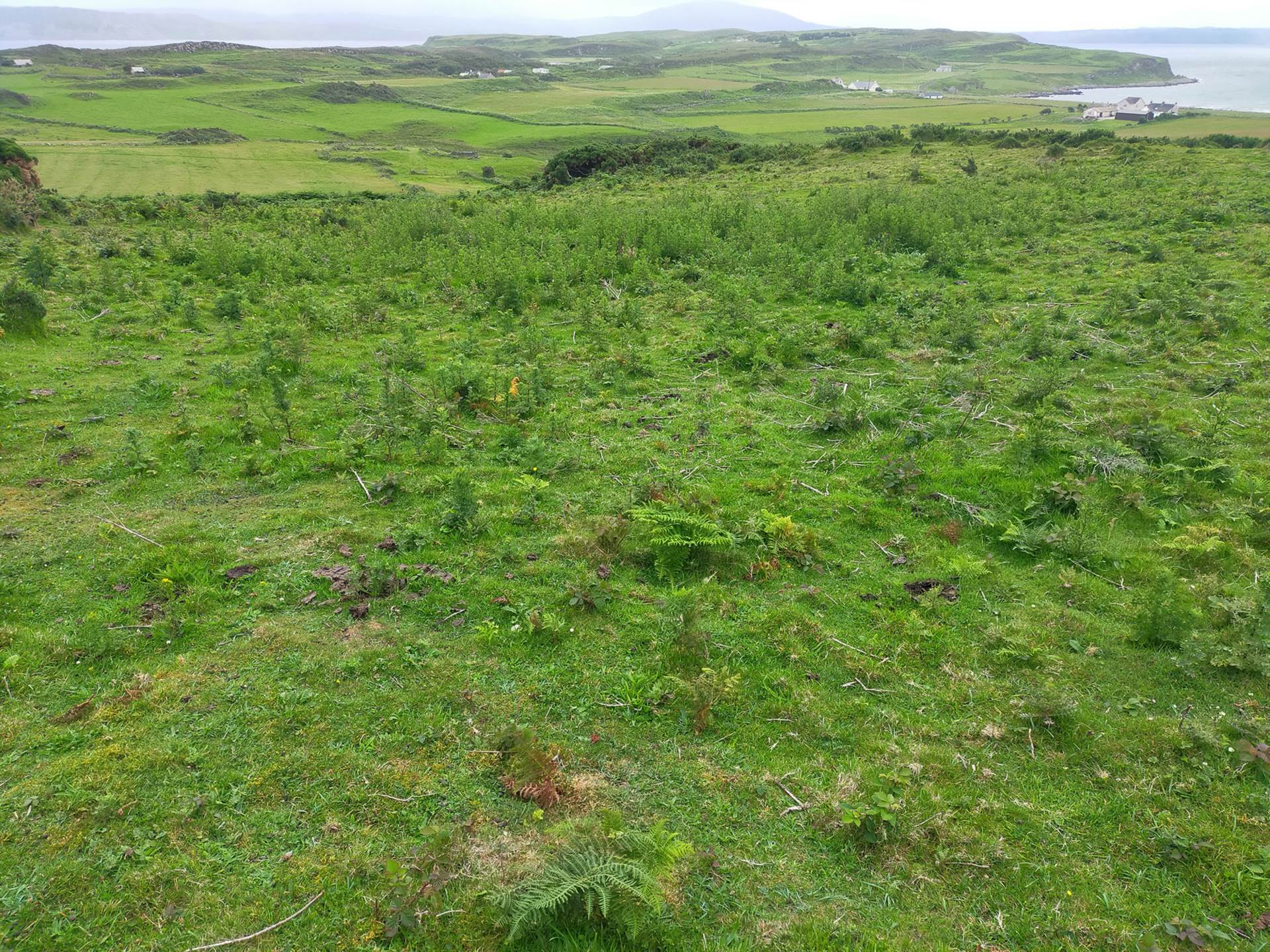 Coolnagrock, Rathlin Island approx. 22 acres land, Image 1
