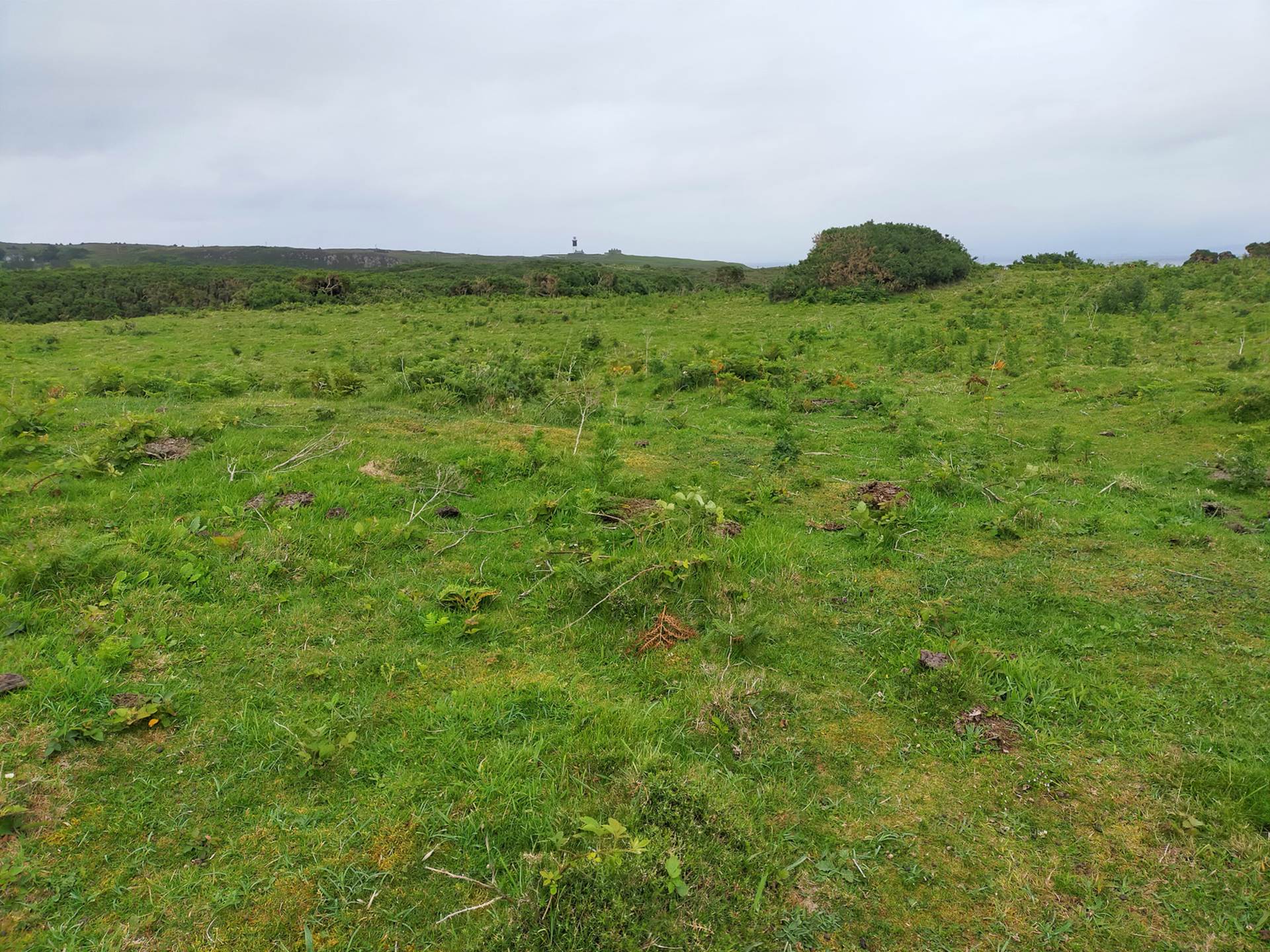 Coolnagrock, Rathlin Island approx. 22 acres land, Image 10