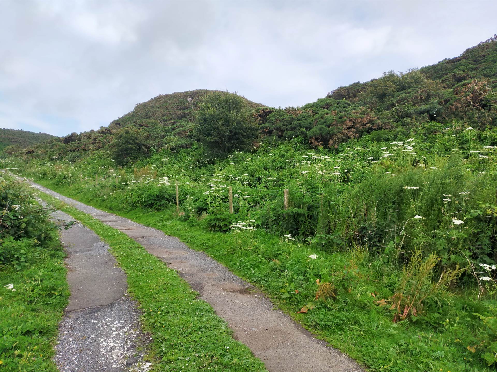 Coolnagrock, Rathlin Island approx. 22 acres land, Image 15