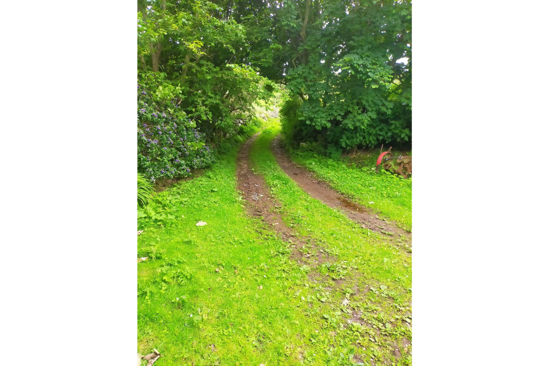 Coolnagrock, Rathlin Island approx. 22 acres land, Image 5