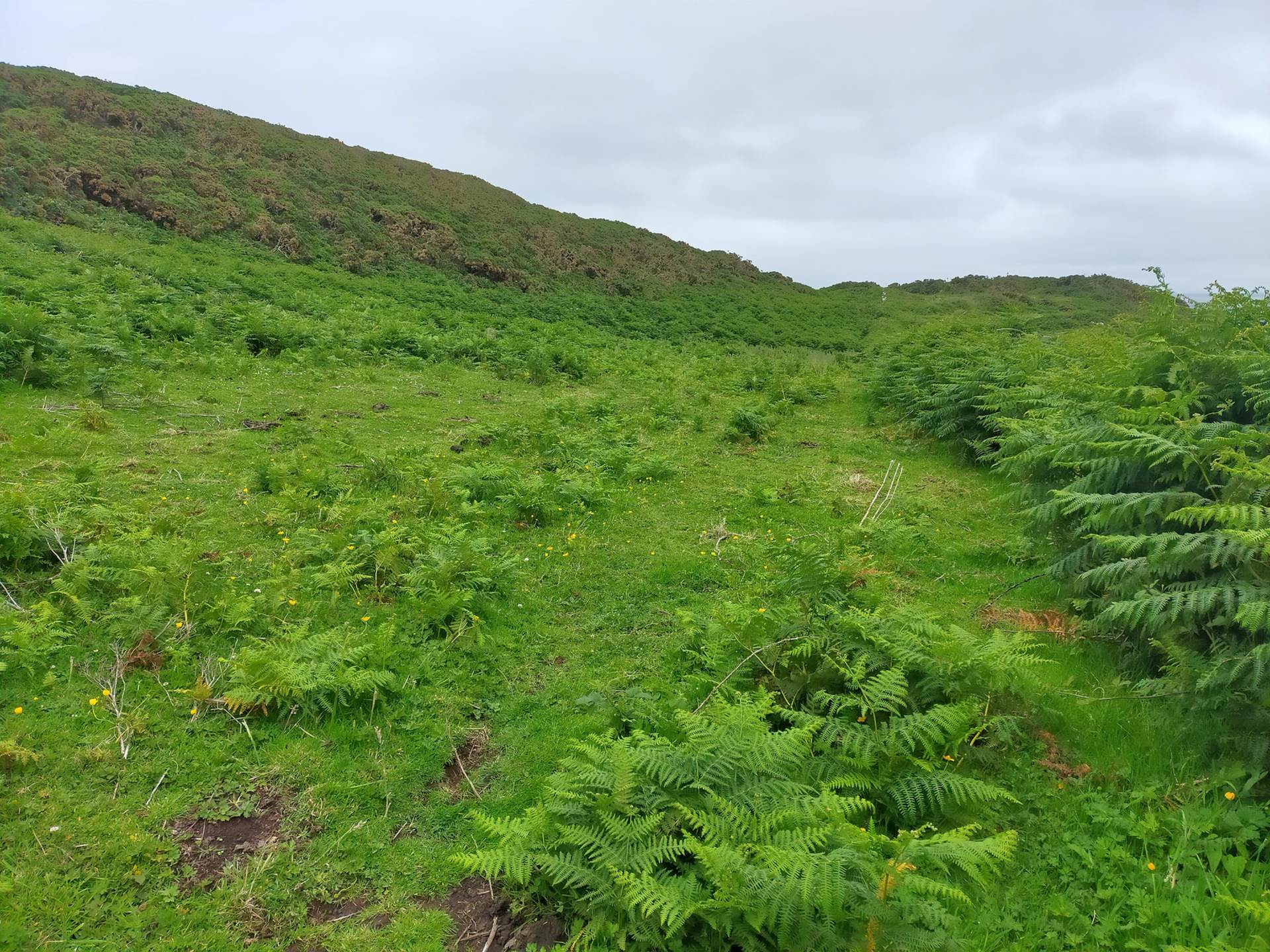 Coolnagrock, Rathlin Island approx. 22 acres land, Image 7