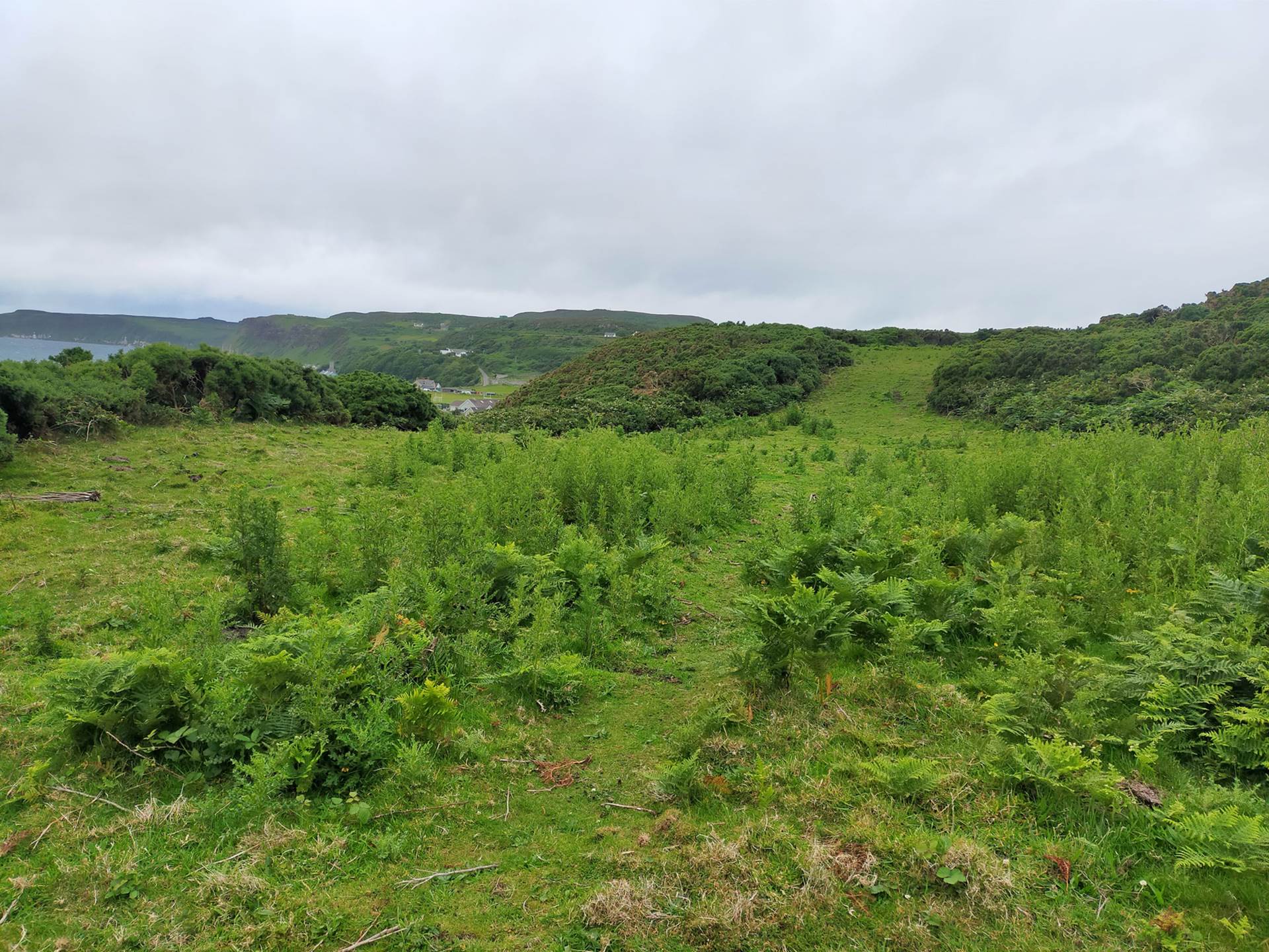 Coolnagrock, Rathlin Island approx. 22 acres land, Image 8