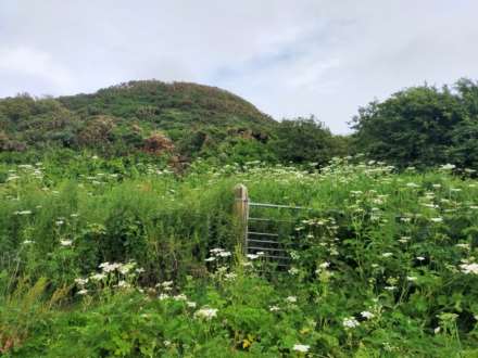 Coolnagrock, Rathlin Island approx. 22 acres land, Image 14