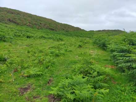 Coolnagrock, Rathlin Island approx. 22 acres land, Image 7