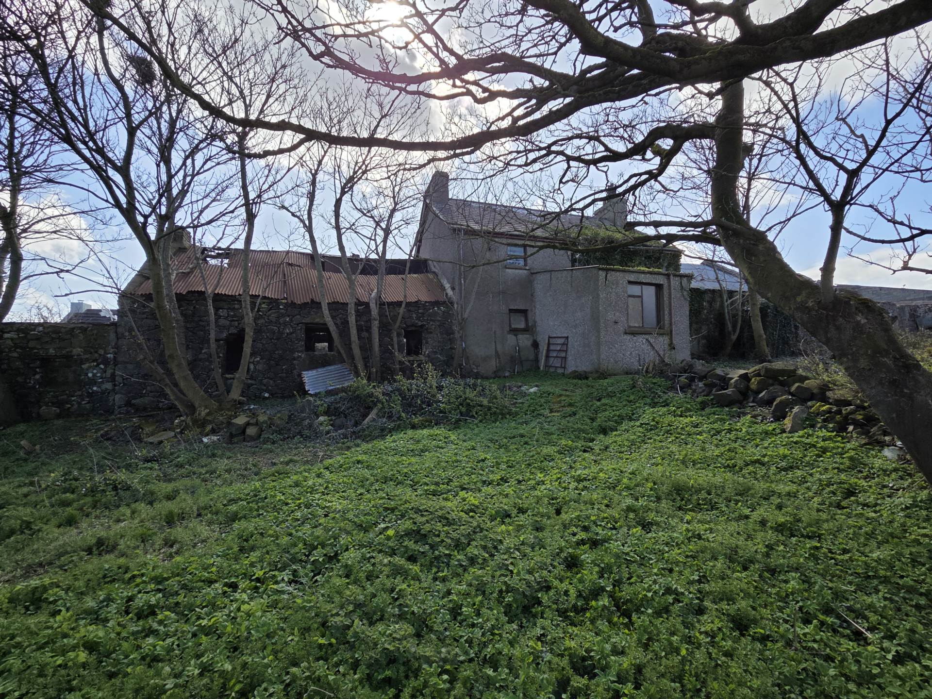 20 Harbour Road, Ballintoy, Image 10