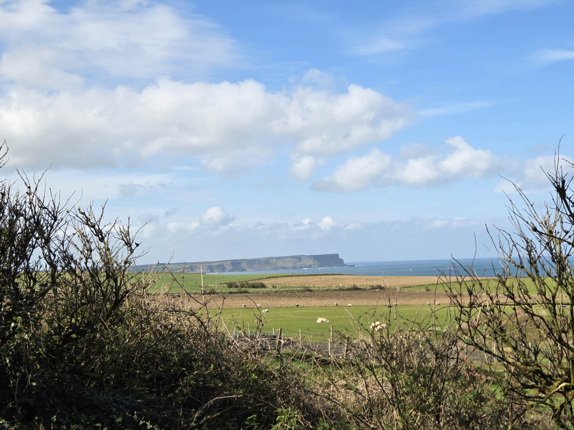20 Harbour Road, Ballintoy, Image 11
