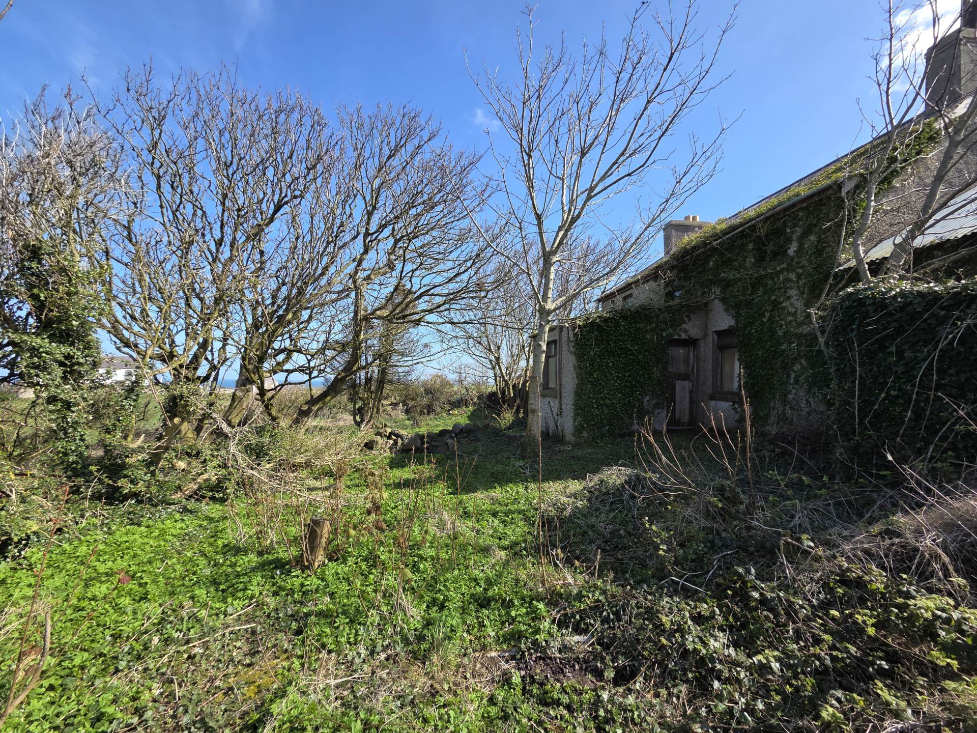 20 Harbour Road, Ballintoy, Image 9
