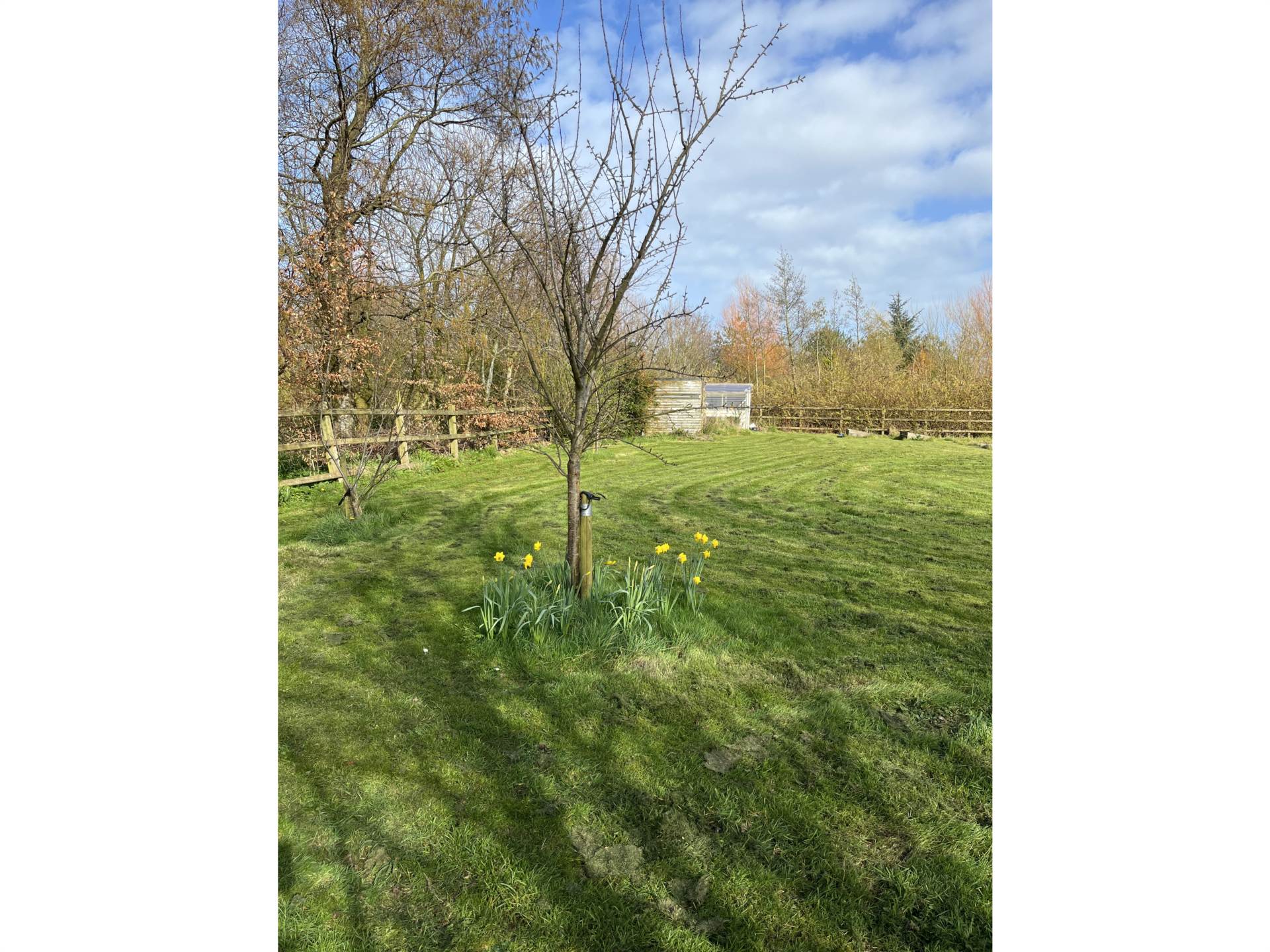 58a Straid Road, Ballycastle, Image 41