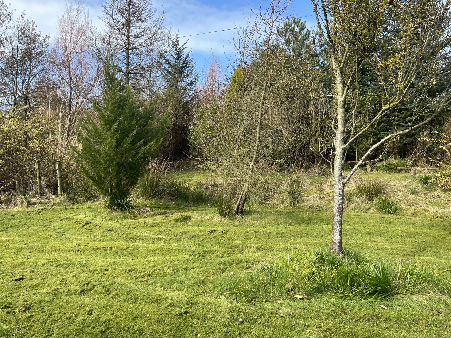 58a Straid Road, Ballycastle, Image 42