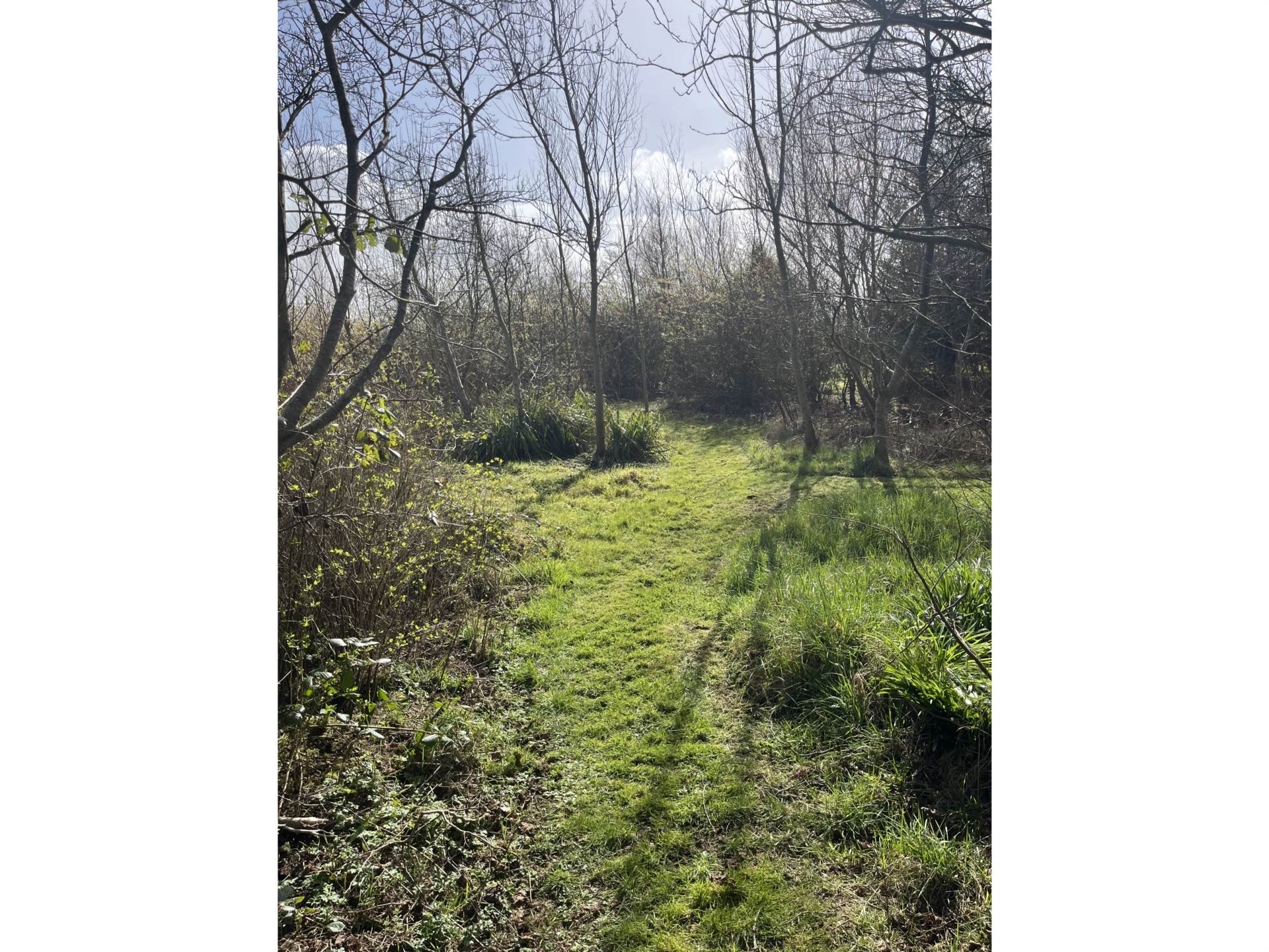 58a Straid Road, Ballycastle, Image 43