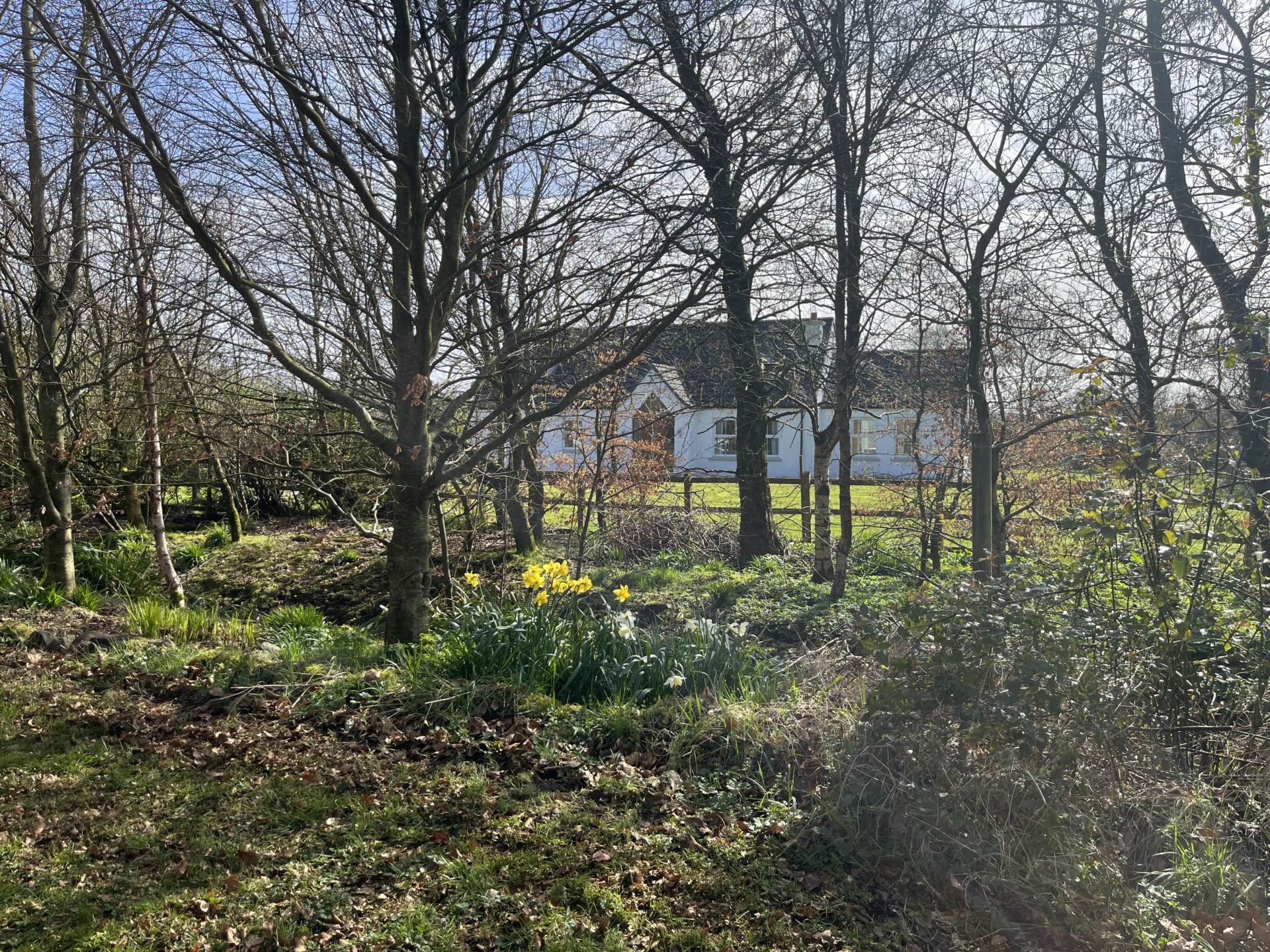 58a Straid Road, Ballycastle, Image 44