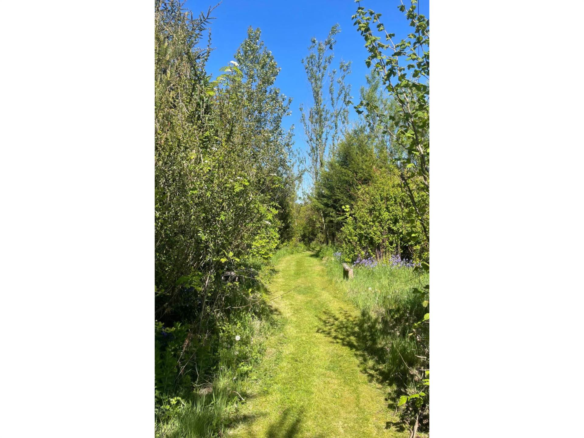 58a Straid Road, Ballycastle, Image 47