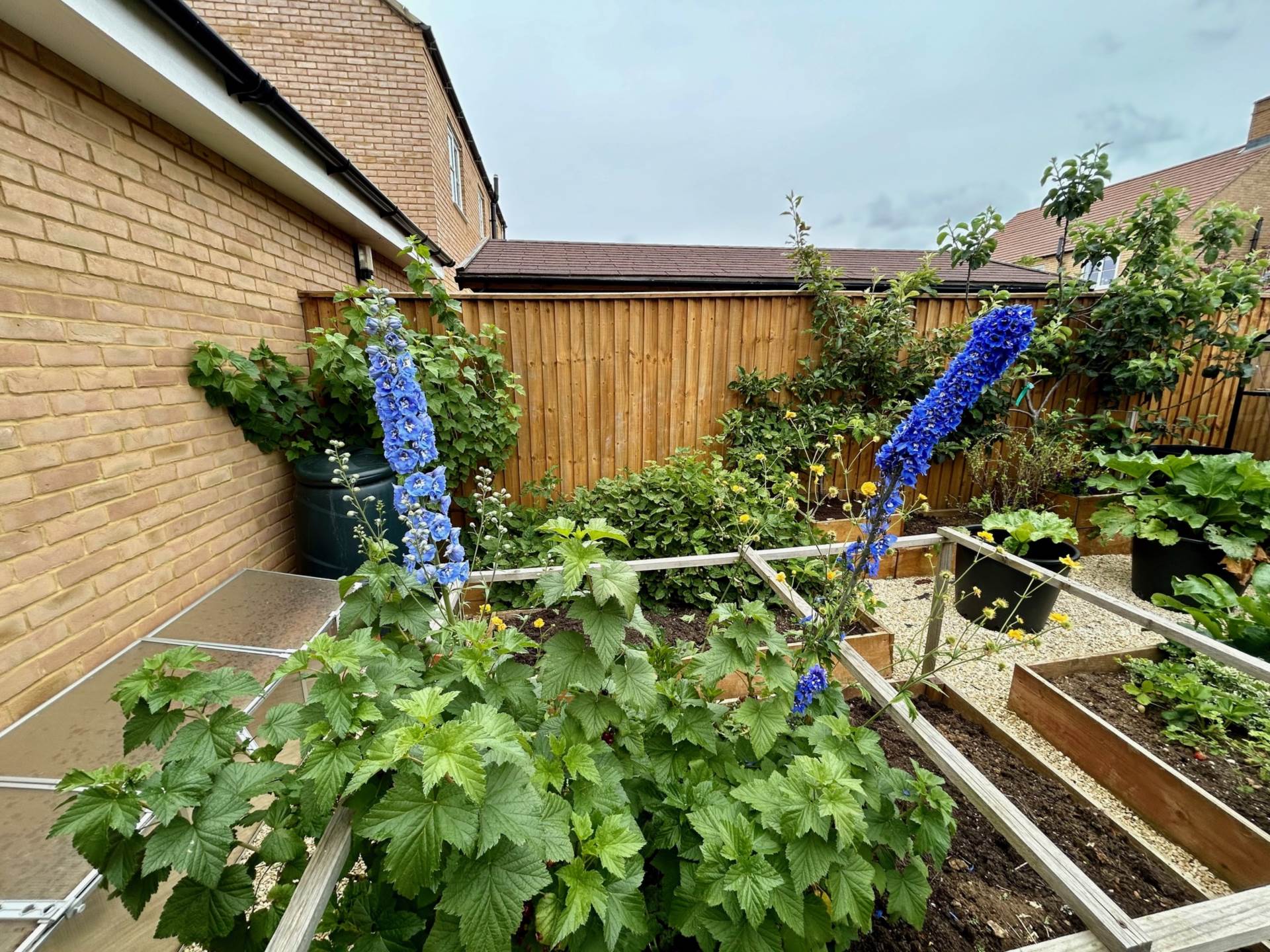 Parsons Piece, Banbury, Image 16