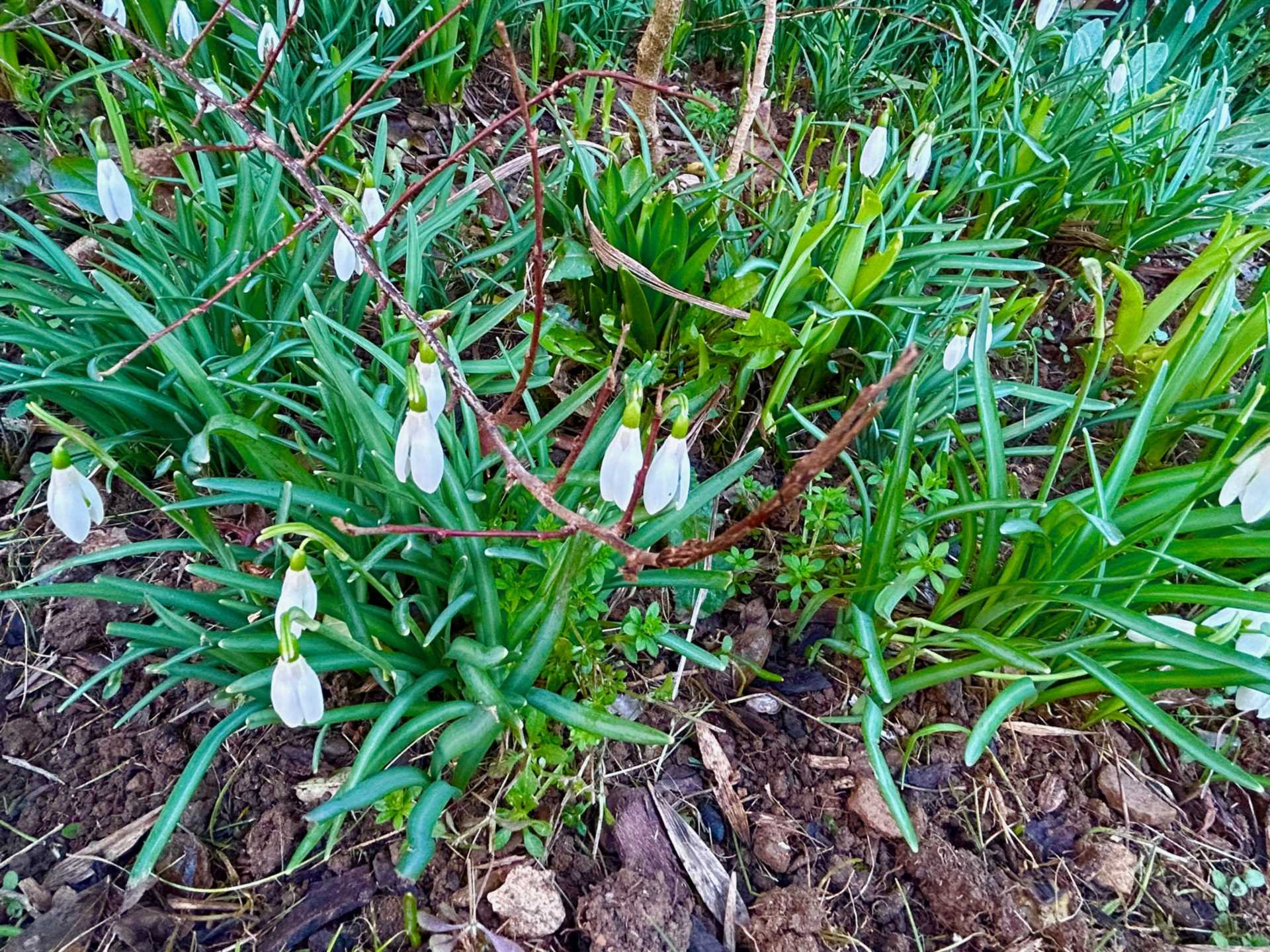 Daimler Avenue, Banbury, Image 12