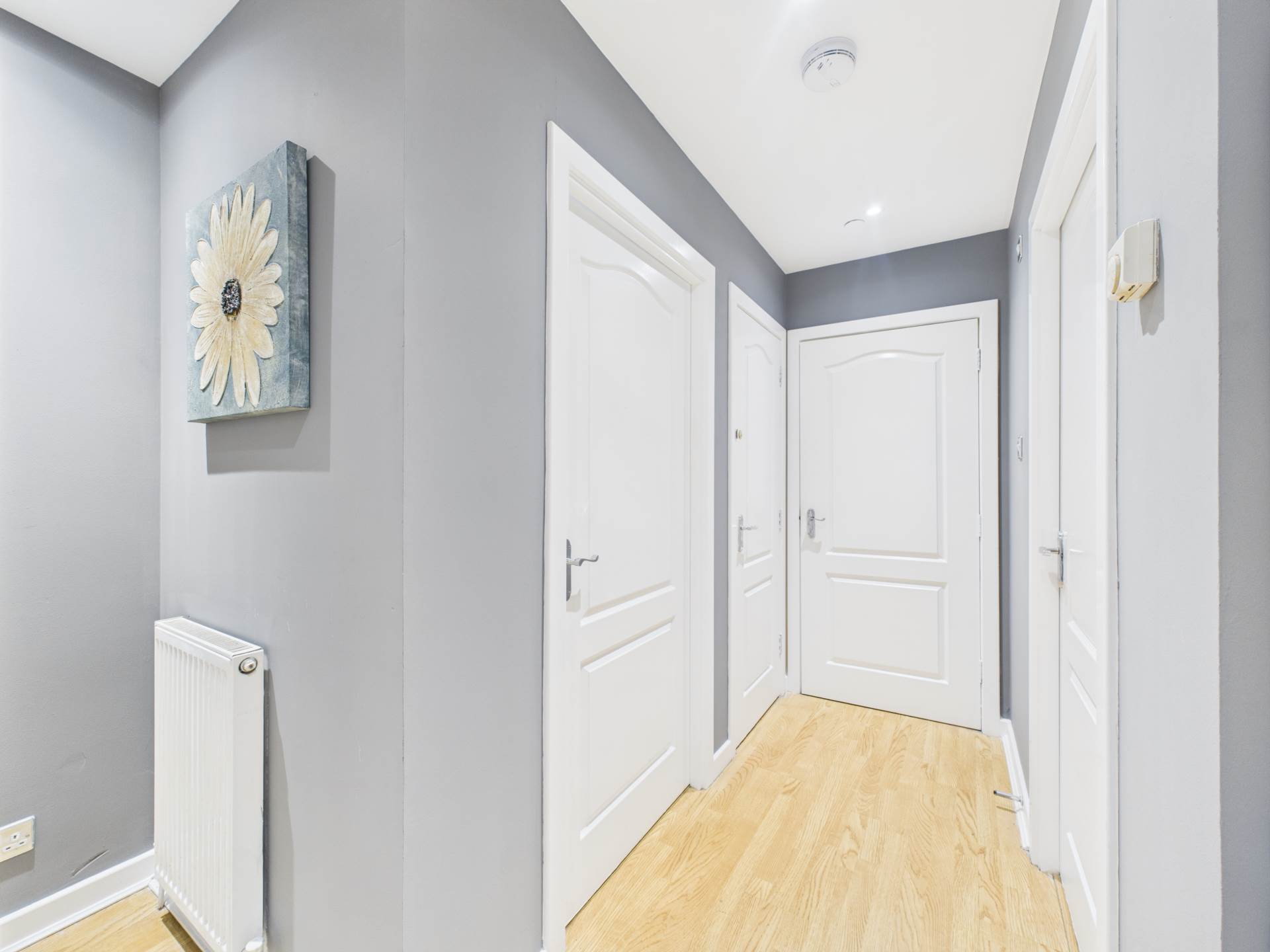 Dalmarnock Drive, Dalmarnock, Image 2